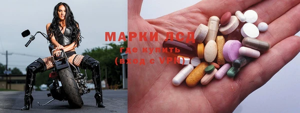 прущие грибы Армянск