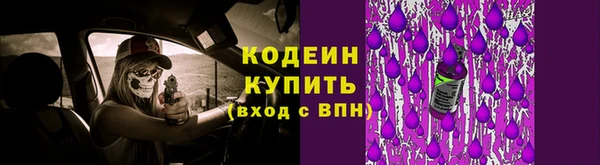 прущие грибы Армянск
