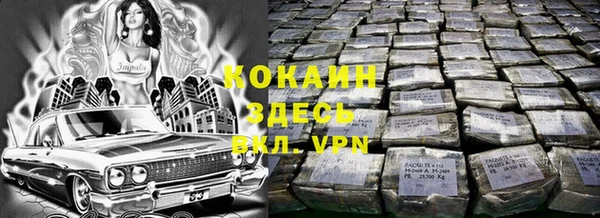 прущие грибы Армянск