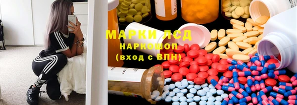прущие грибы Армянск