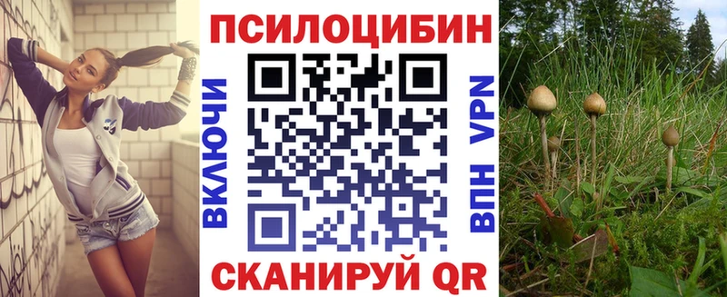 Псилоцибиновые грибы ЛСД MEGA Лениногорск цены