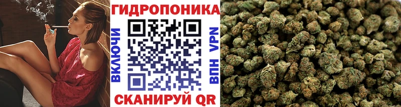 гидра ONION  нарко площадка какой сайт  Канабис LSD WEED  где можно купить наркотик  Лениногорск 